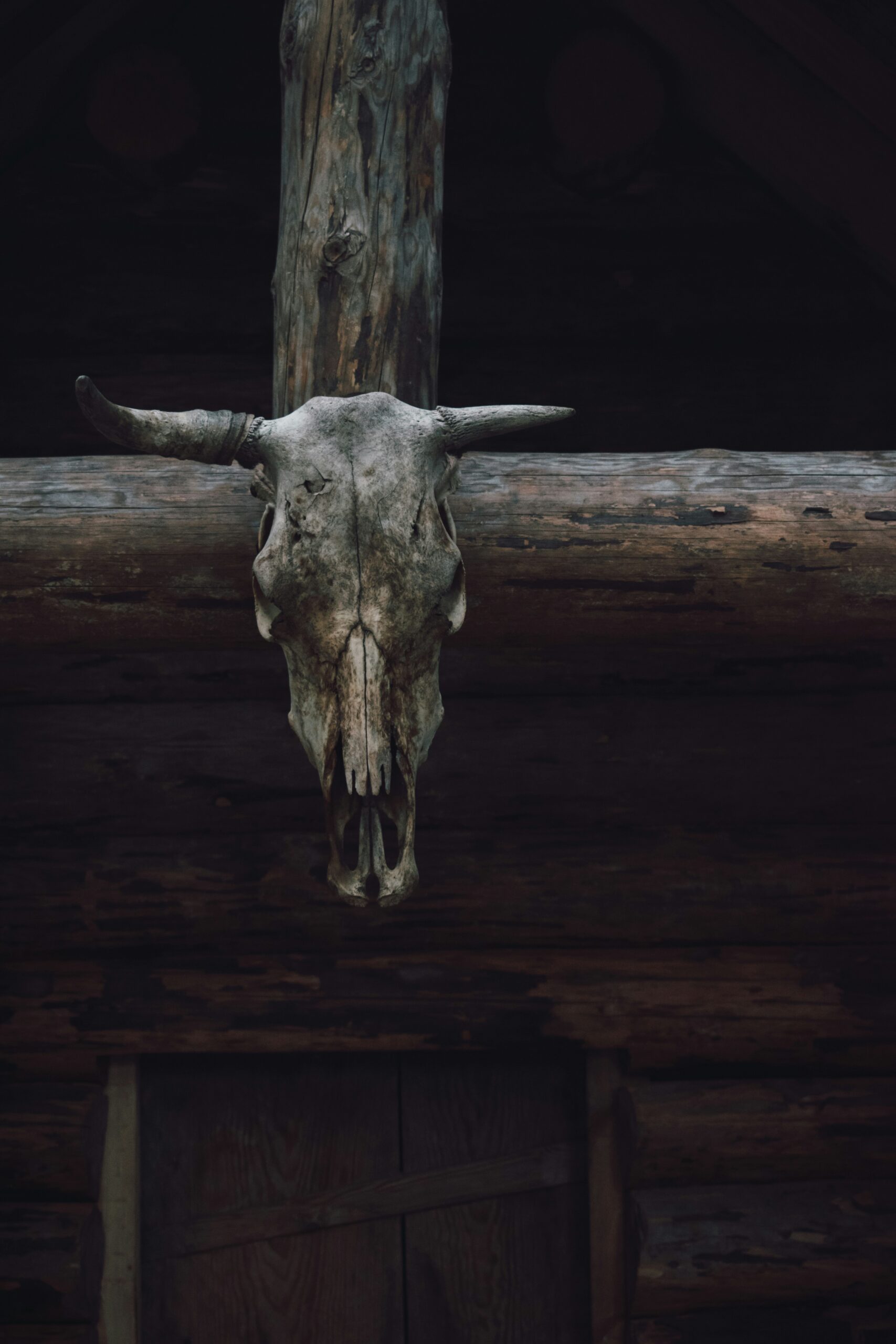 artem-maltsev-Cc3QrL4S01Q-unsplash