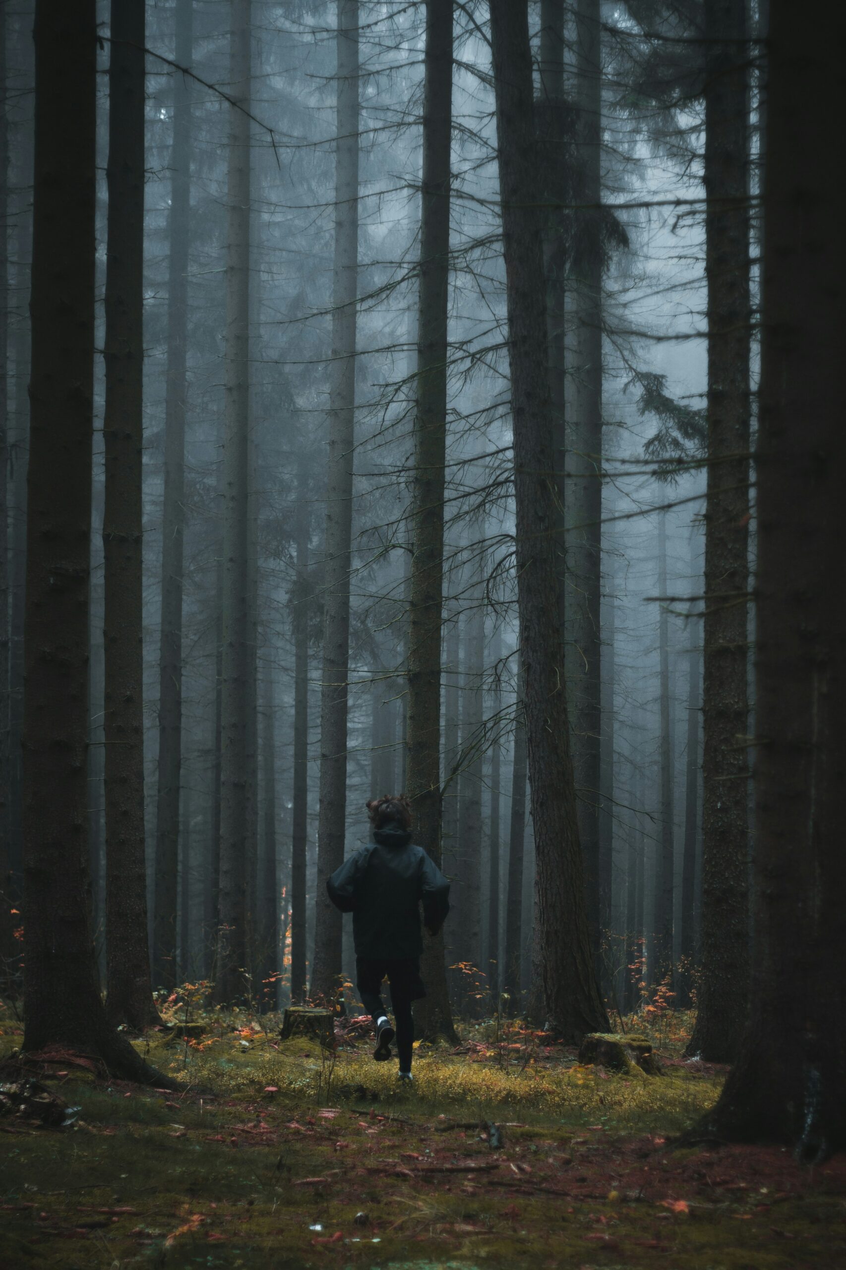 jakub-kriz-3FFEdm8TOek-unsplash