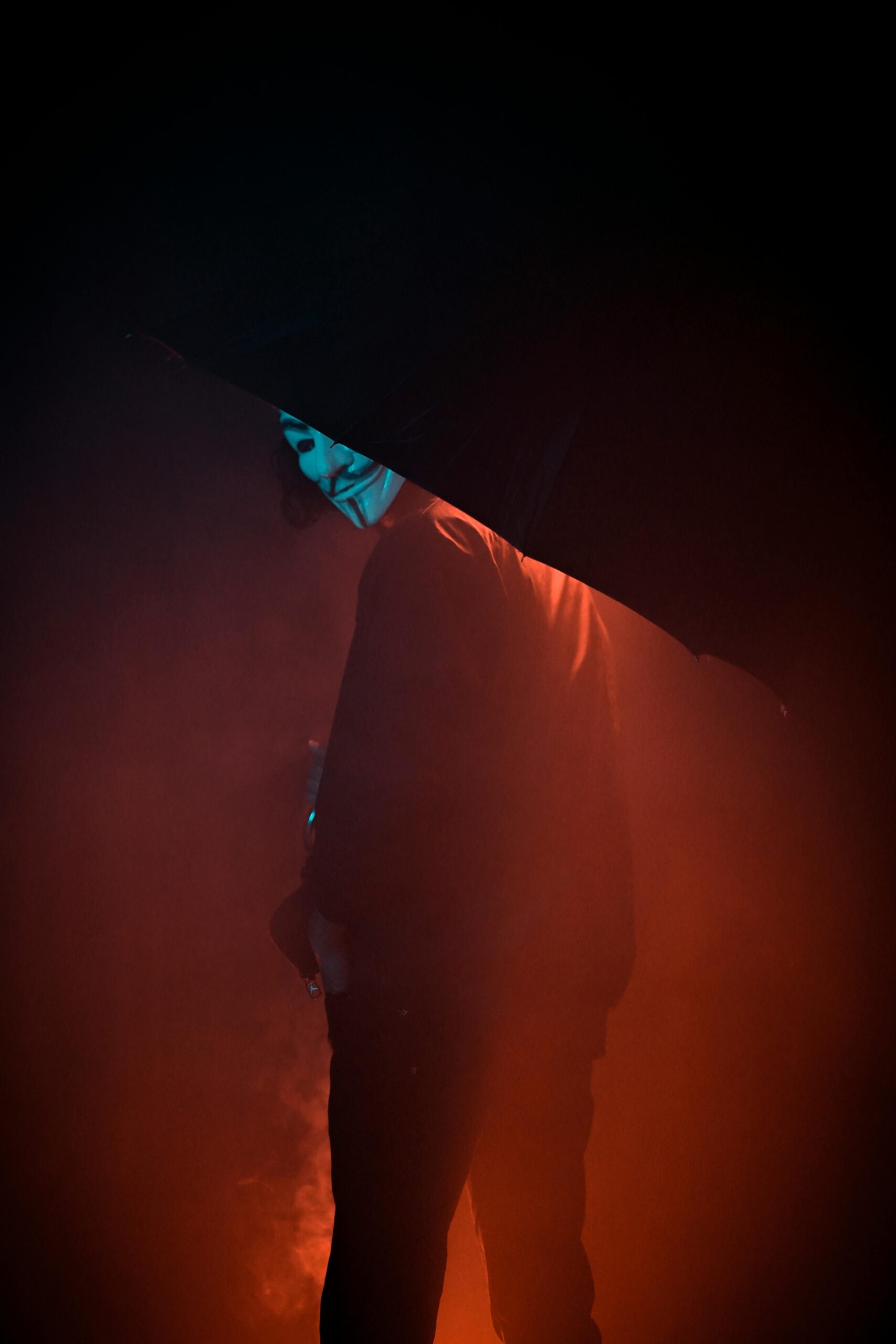 pexels-kalistro666-25785791